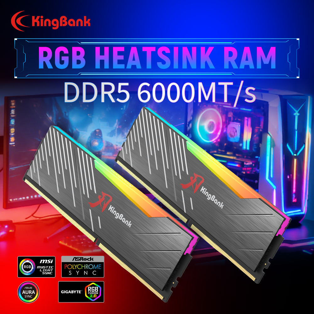 KingBank KRRB DDR5 RGB SoarBla – Ddr5 6000Mhz Bewertung und Preis