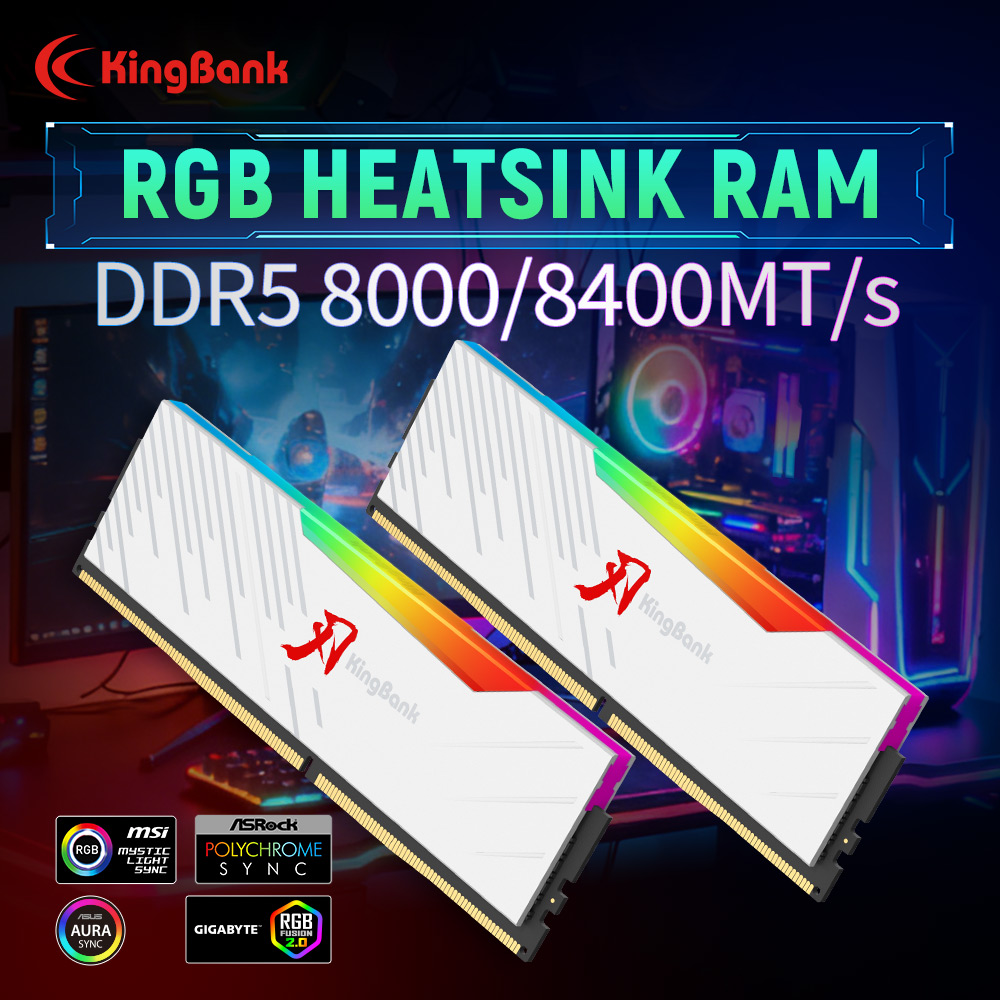 KINGBANK KRRW DDR5 RAM 48GB (2 – Ddr5 6000Mhz Bewertung und Preis