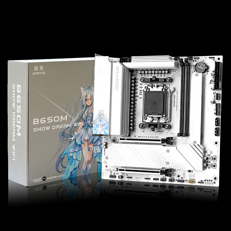 JGINYUE B650M Snow Dream WiFi  – Ddr5 Rgb Ram Bewertung und Preis